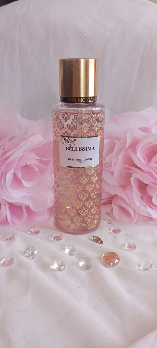 Bellissima Gris Montaigne Paris Brume Corps